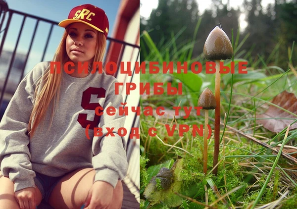 MDMA Premium VHQ Армянск