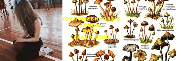 крисы Балабаново