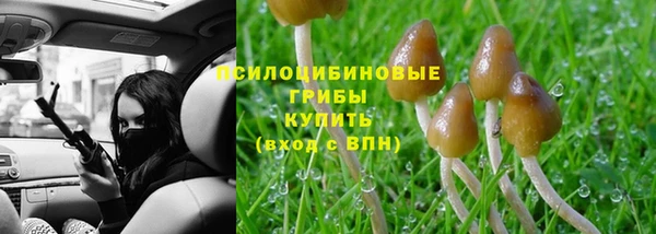 крисы Балабаново
