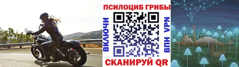 Псилоцибиновые грибы мицелий  Магас 